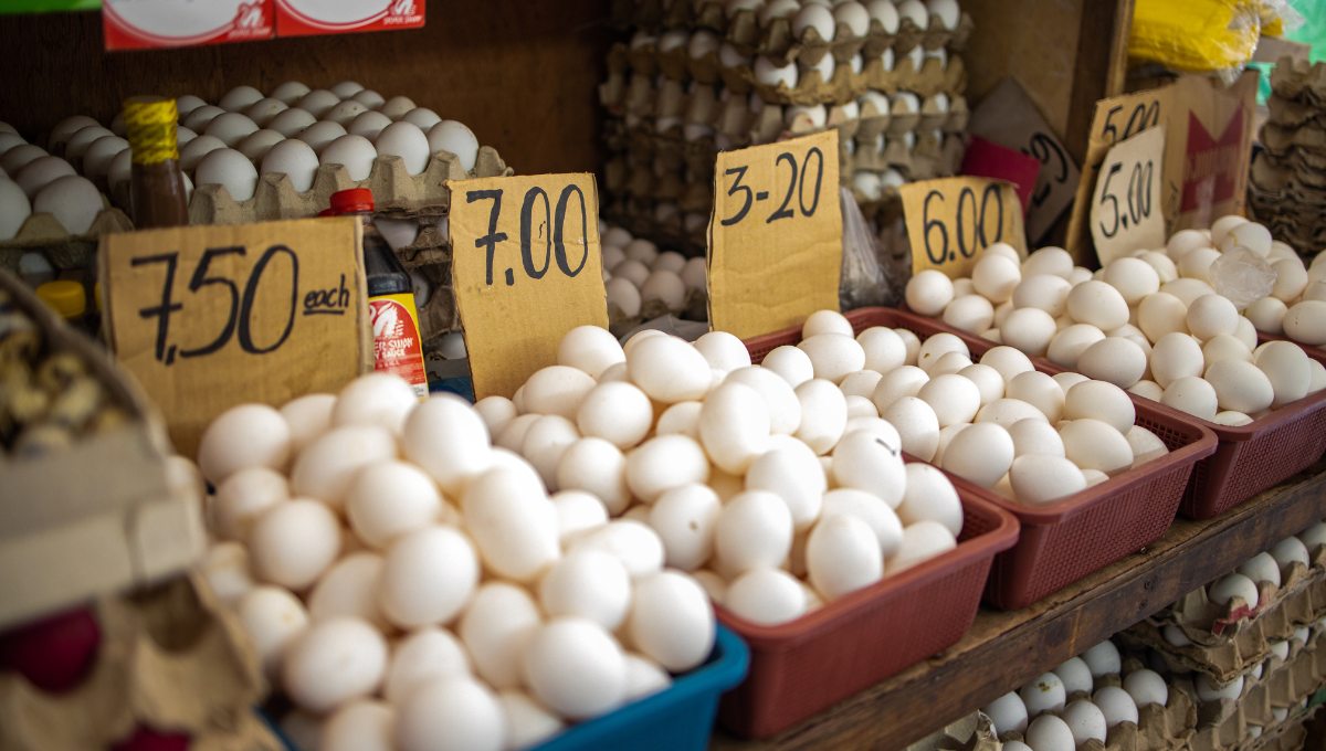 Why Are Egg Prices Still So High and How You Can Save Now?